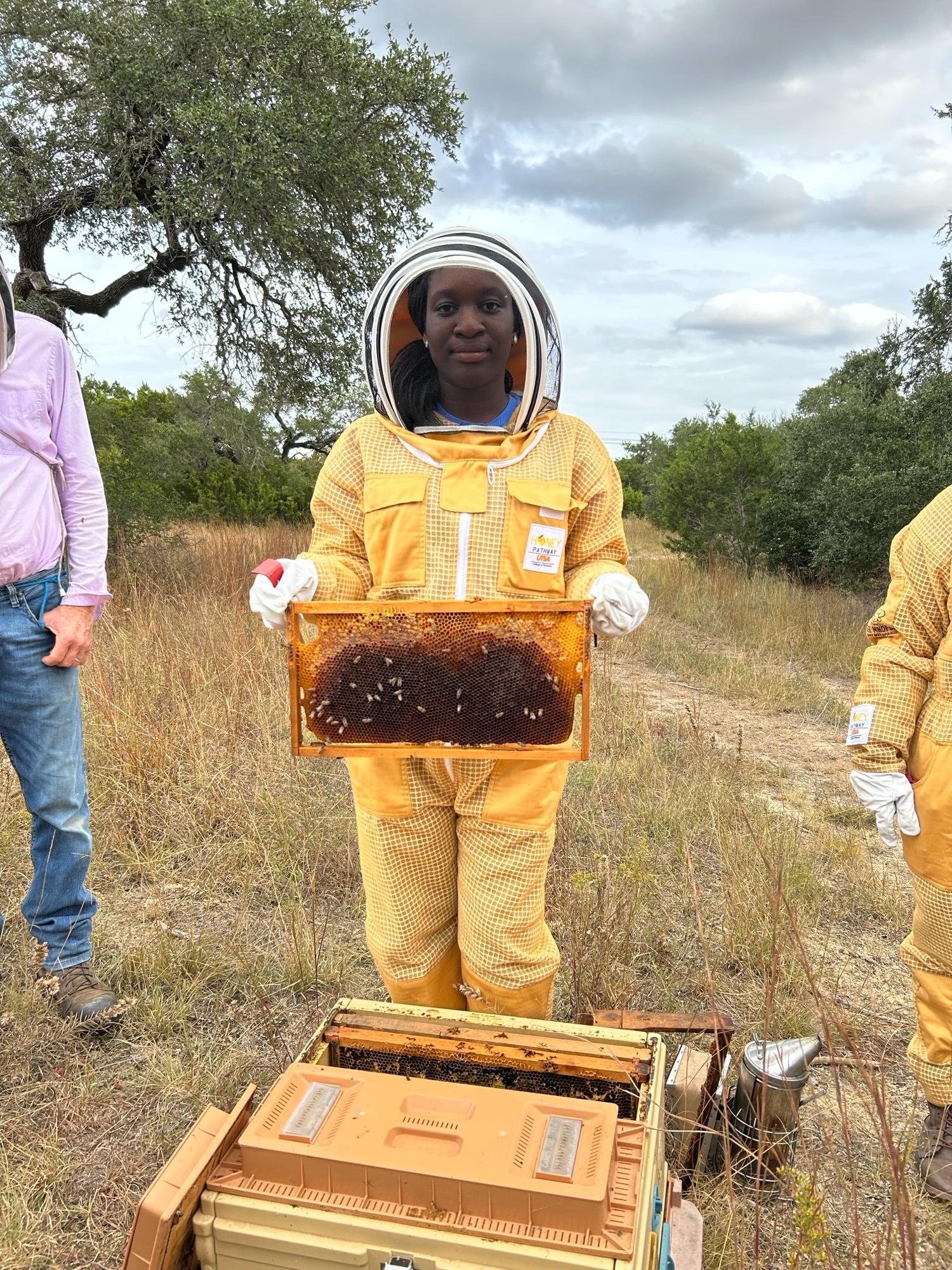 Hive Tours - IMG 0274 (1)