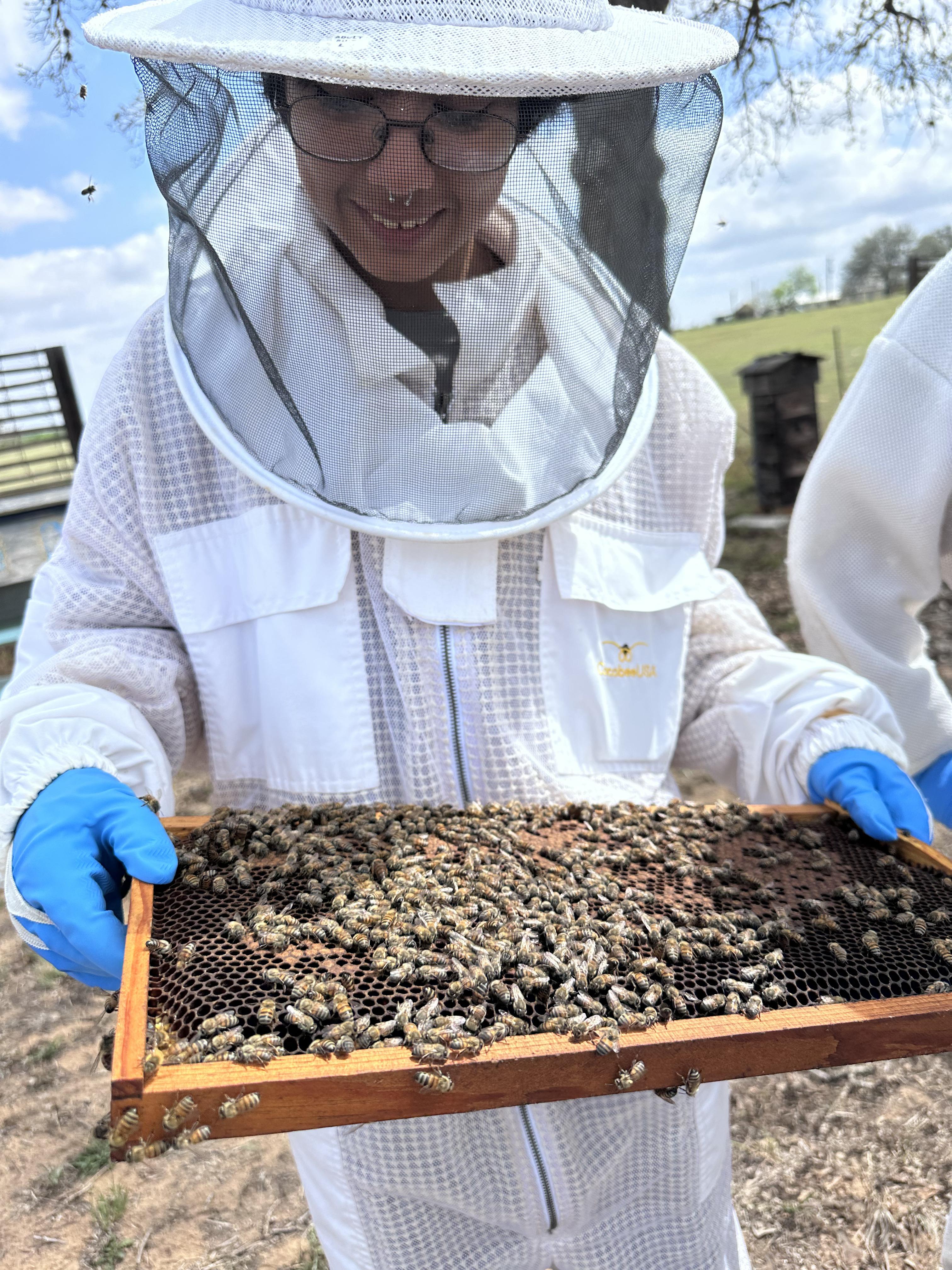 Hive Tours - IMG 3021