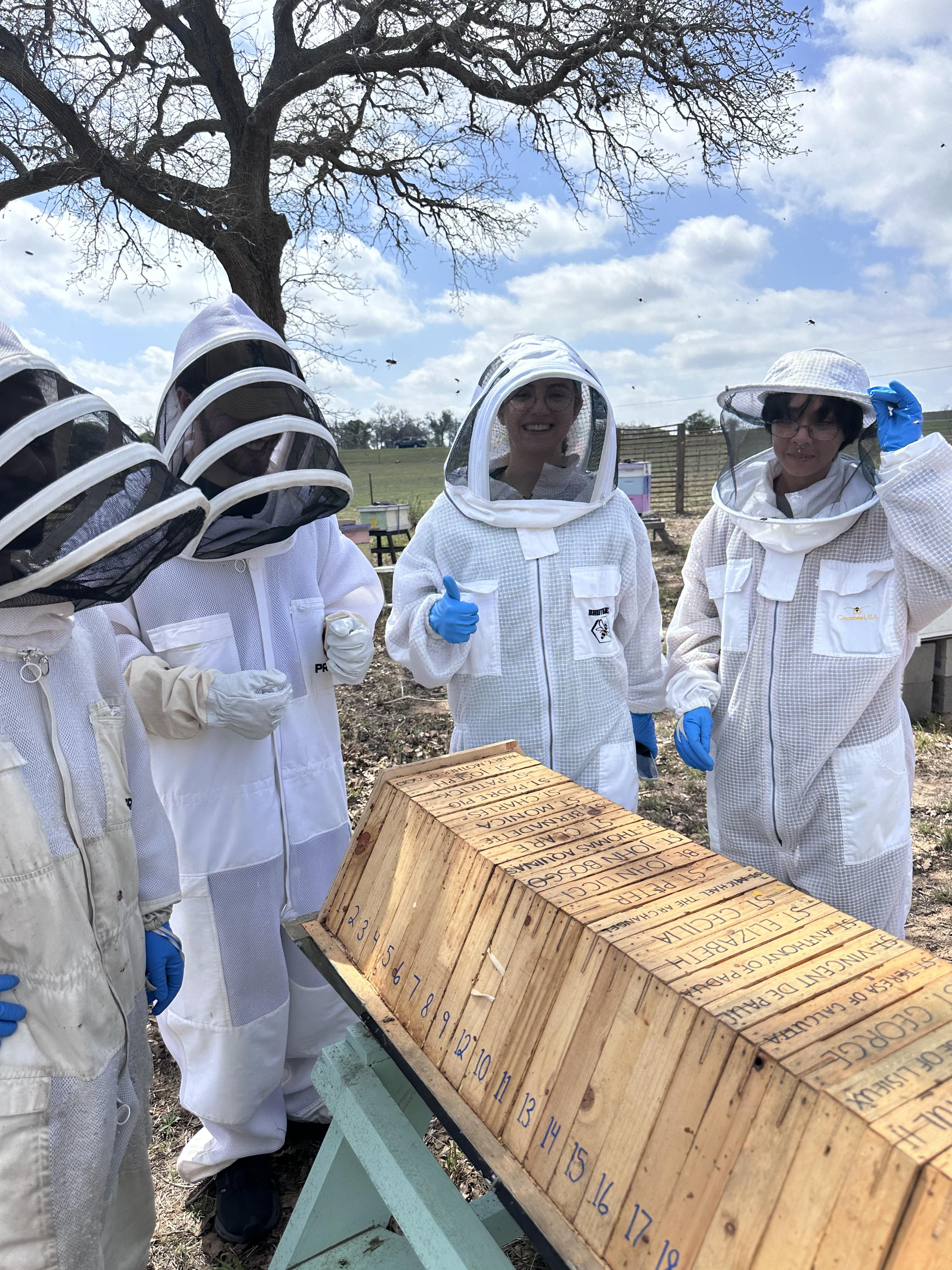 Hive Tours - IMG 3023