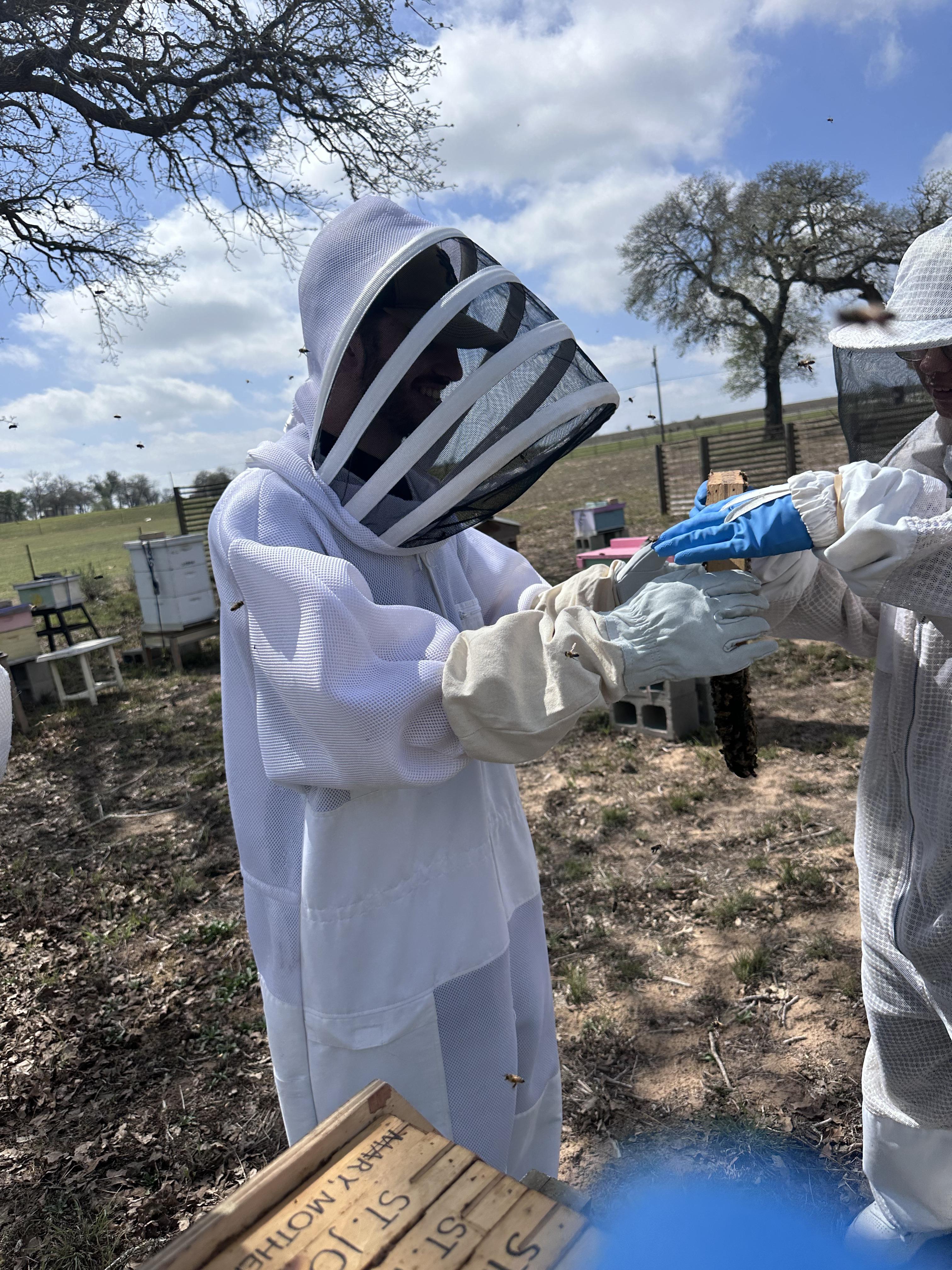 Hive Tours - IMG 3025