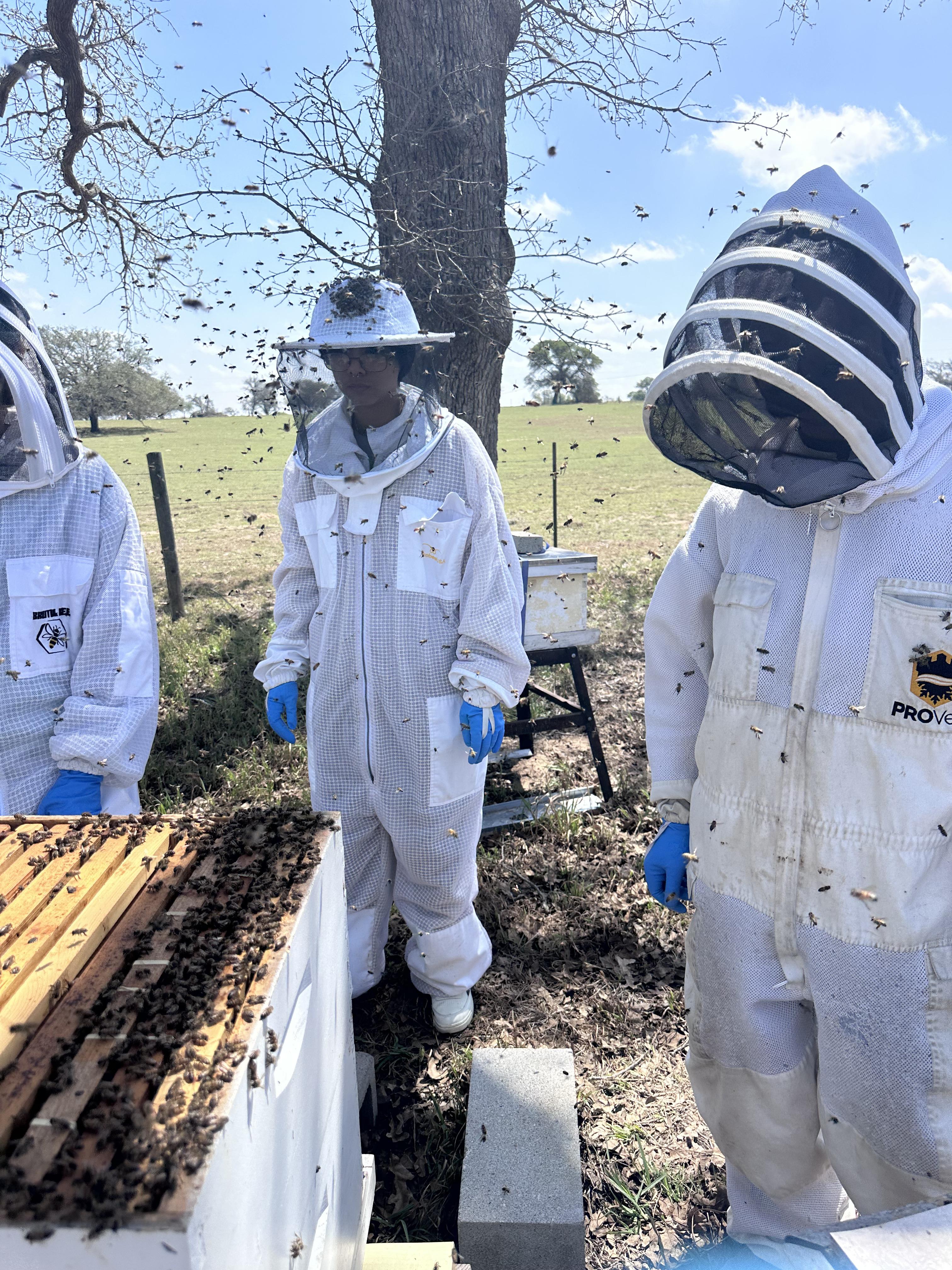 Hive Tours - IMG 3029