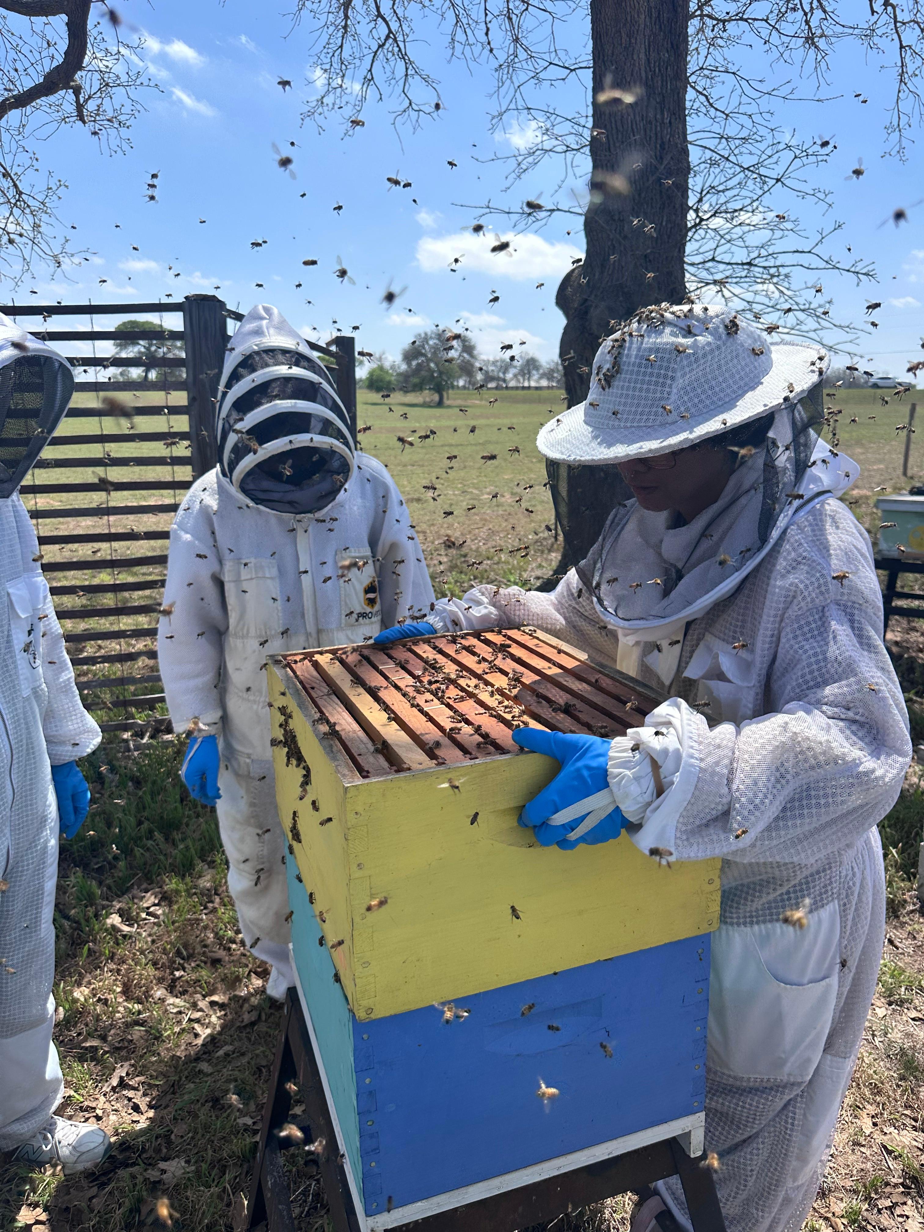 Hive Tours - IMG 3031