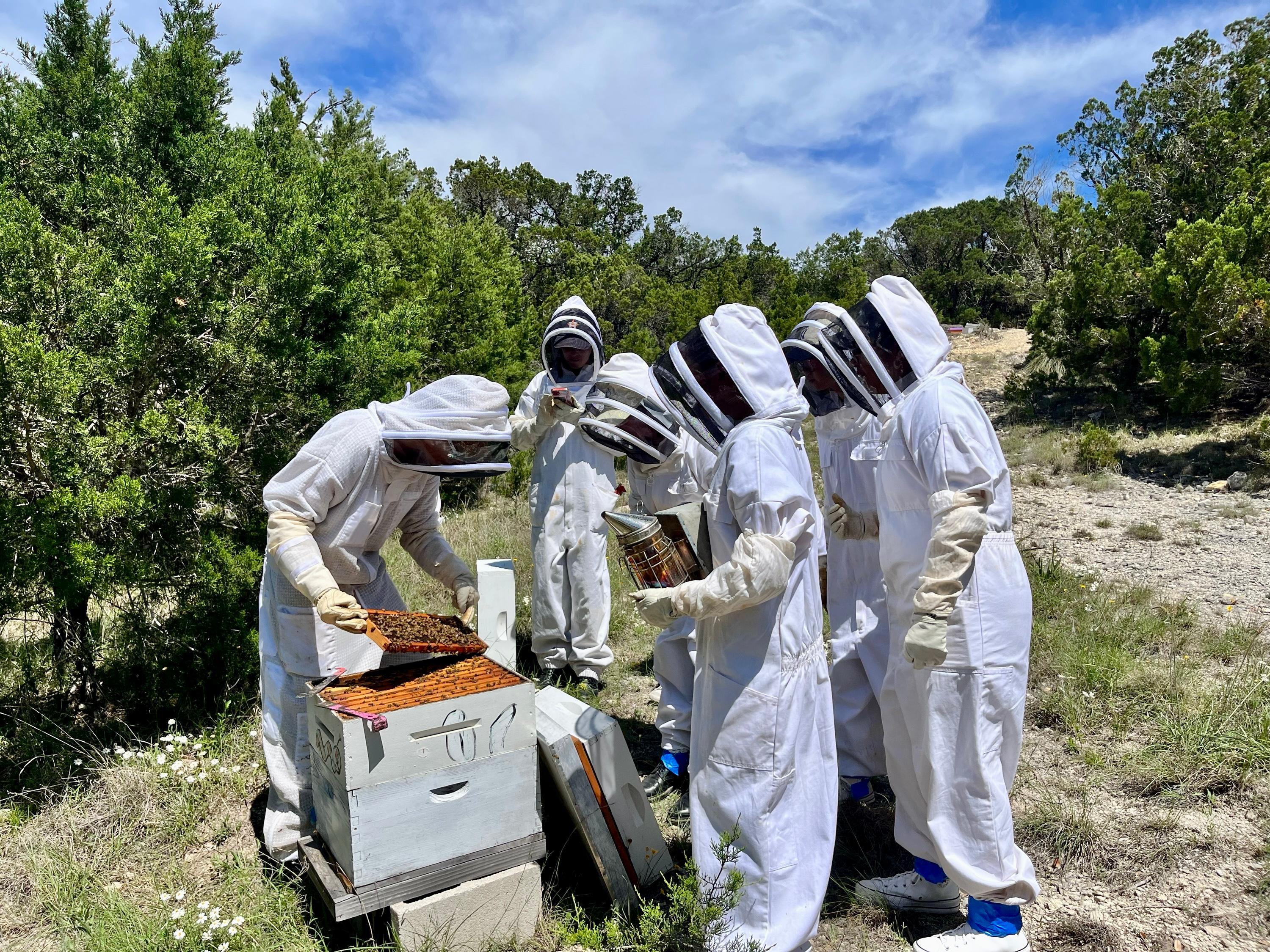 Hive Tours - IMG 8260
