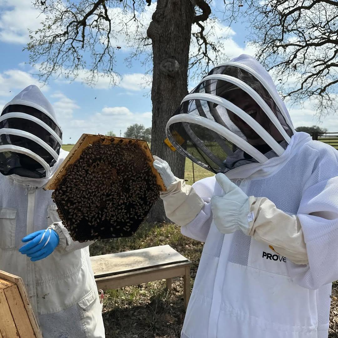 Hive Tours - 487974389 17909064075100234 4259806273062172795 n