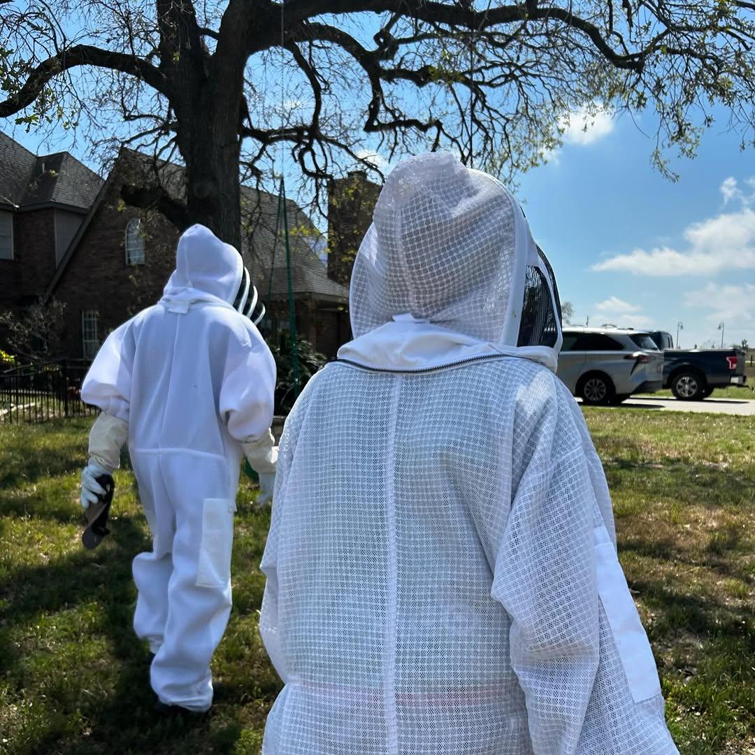 Hive Tours - 488774757 17909064027100234 3873569236452341794 n