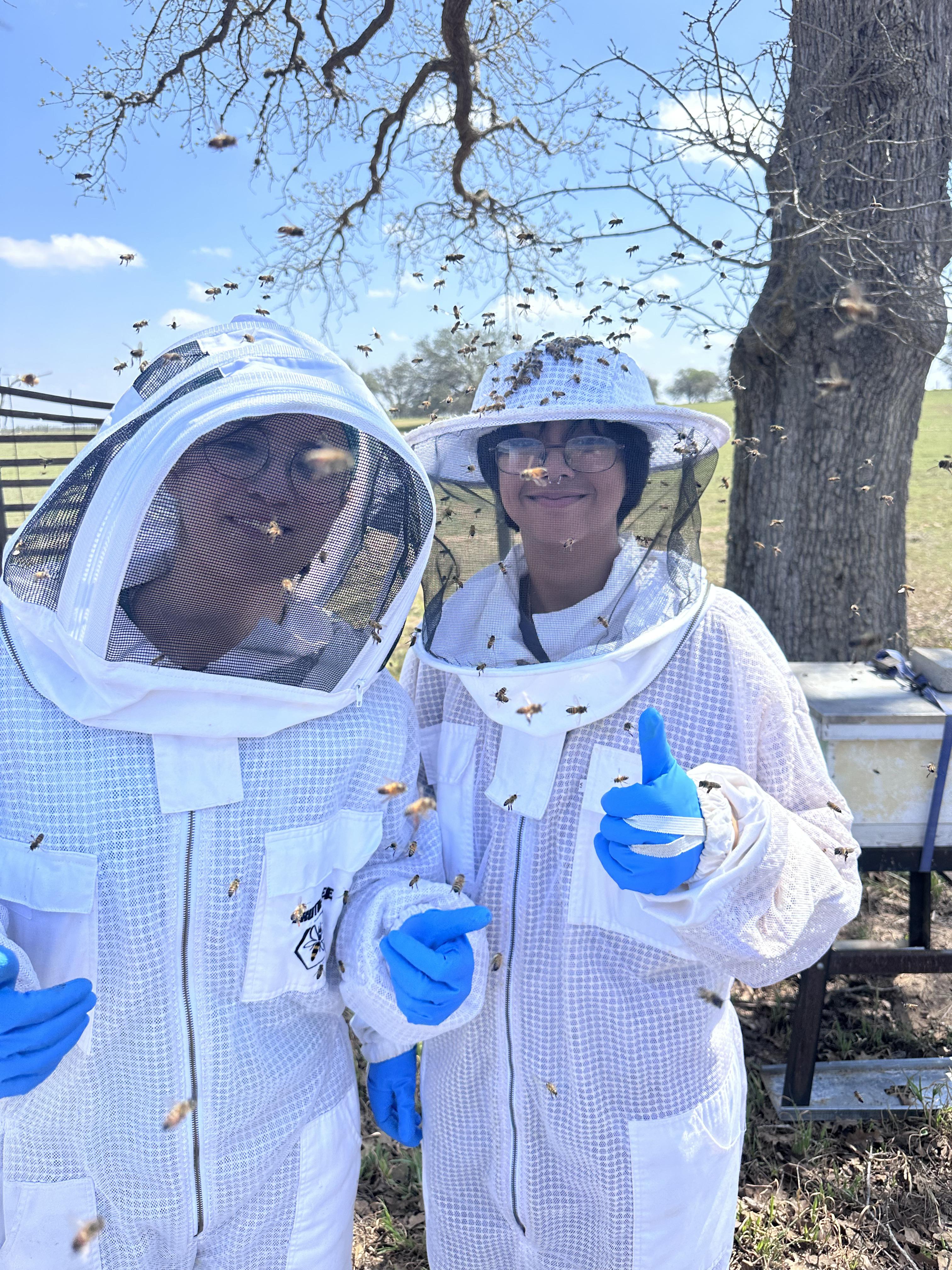 Hive Tours - IMG 3027
