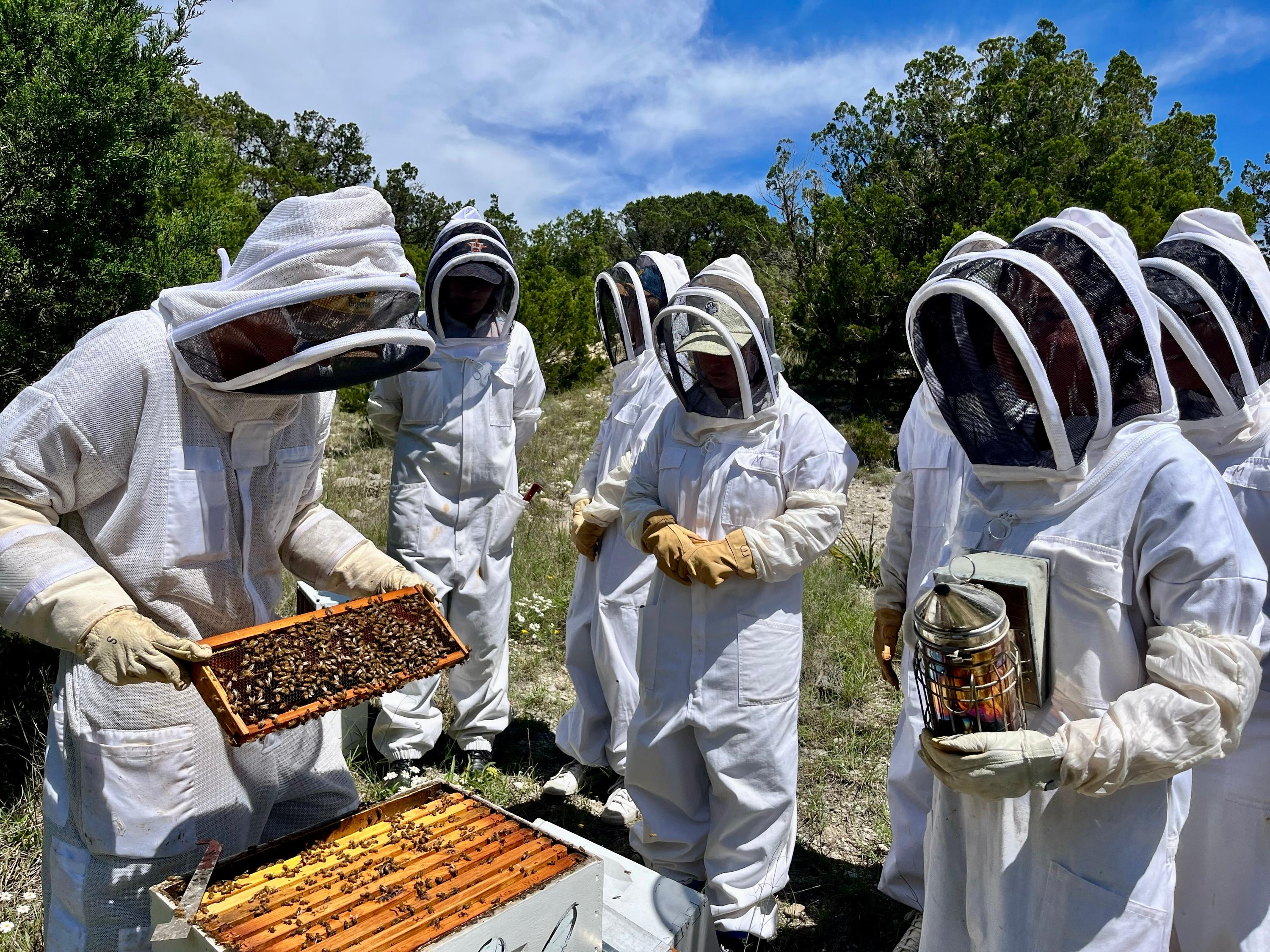 Hive Tours - IMG 8261
