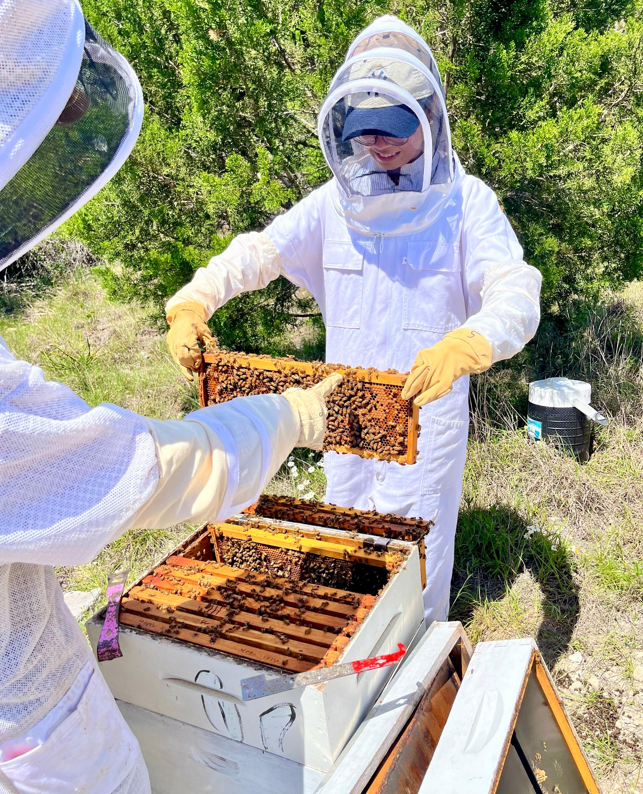 Hive Tours - IMG 8262