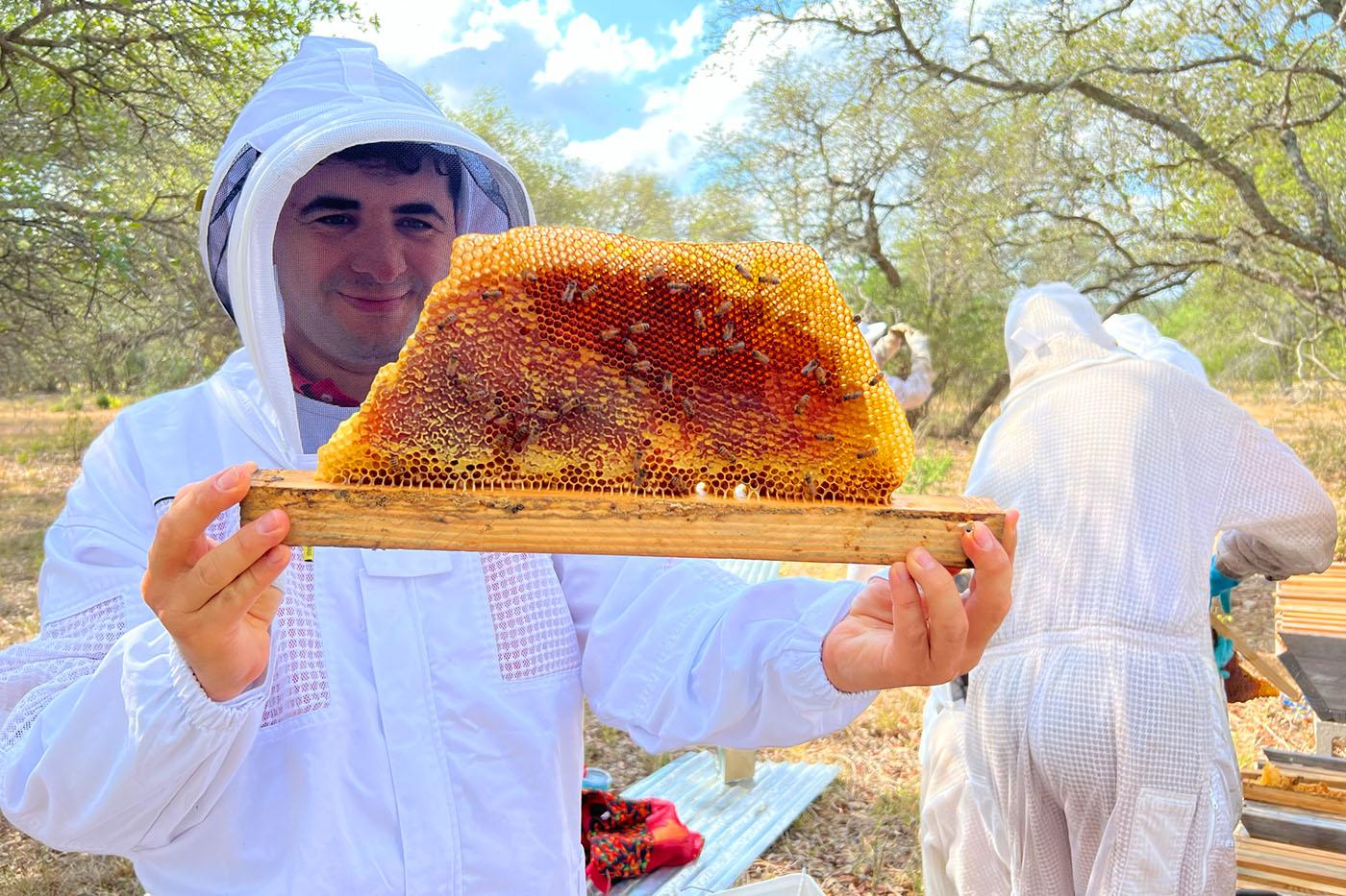 Hive Tours - ferhat ozturk