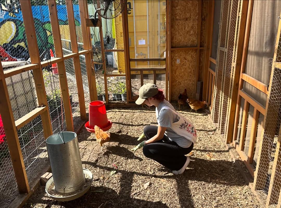 Volunteer - 489675899 17910167859100234 6237755455131184240 n